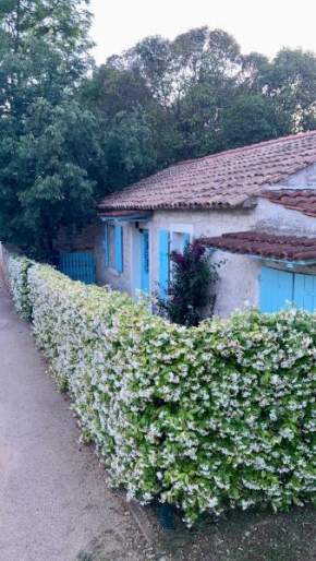 Vila Majda